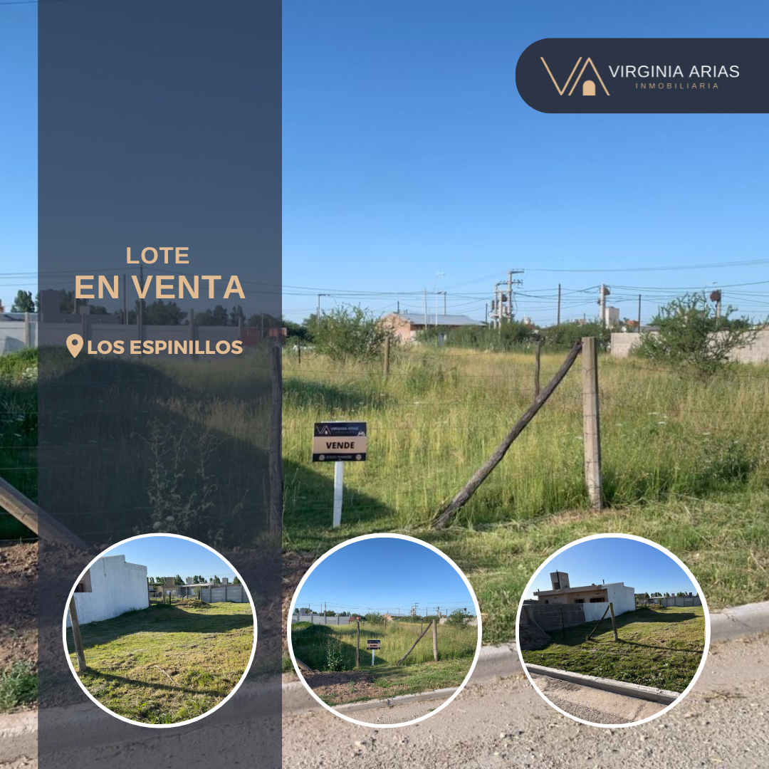 Lote en Venta &#8211; Barrio Los Espinillos