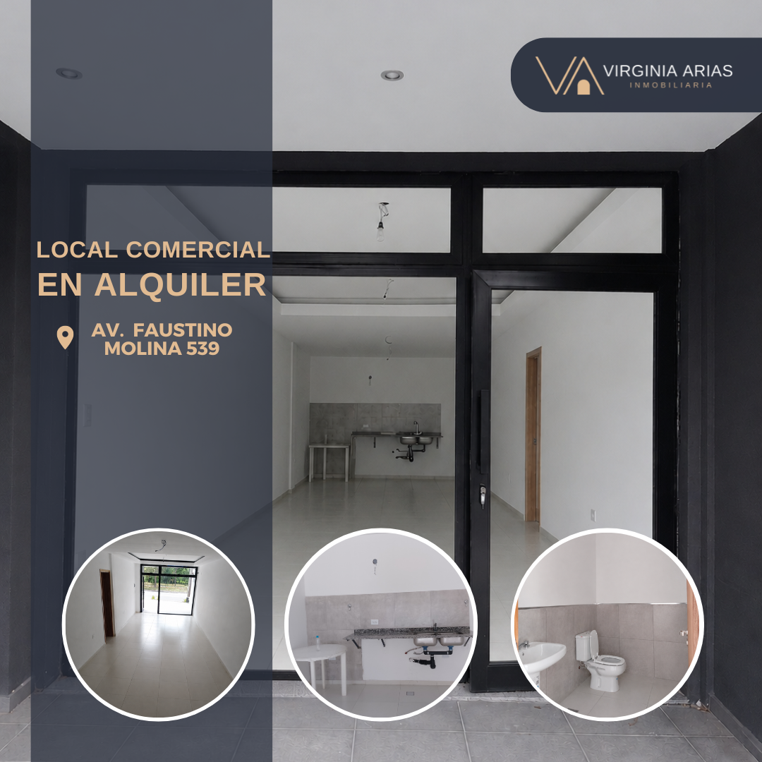 Local Comercial en Alquiler &#8211; Av. Faustino Molina 539