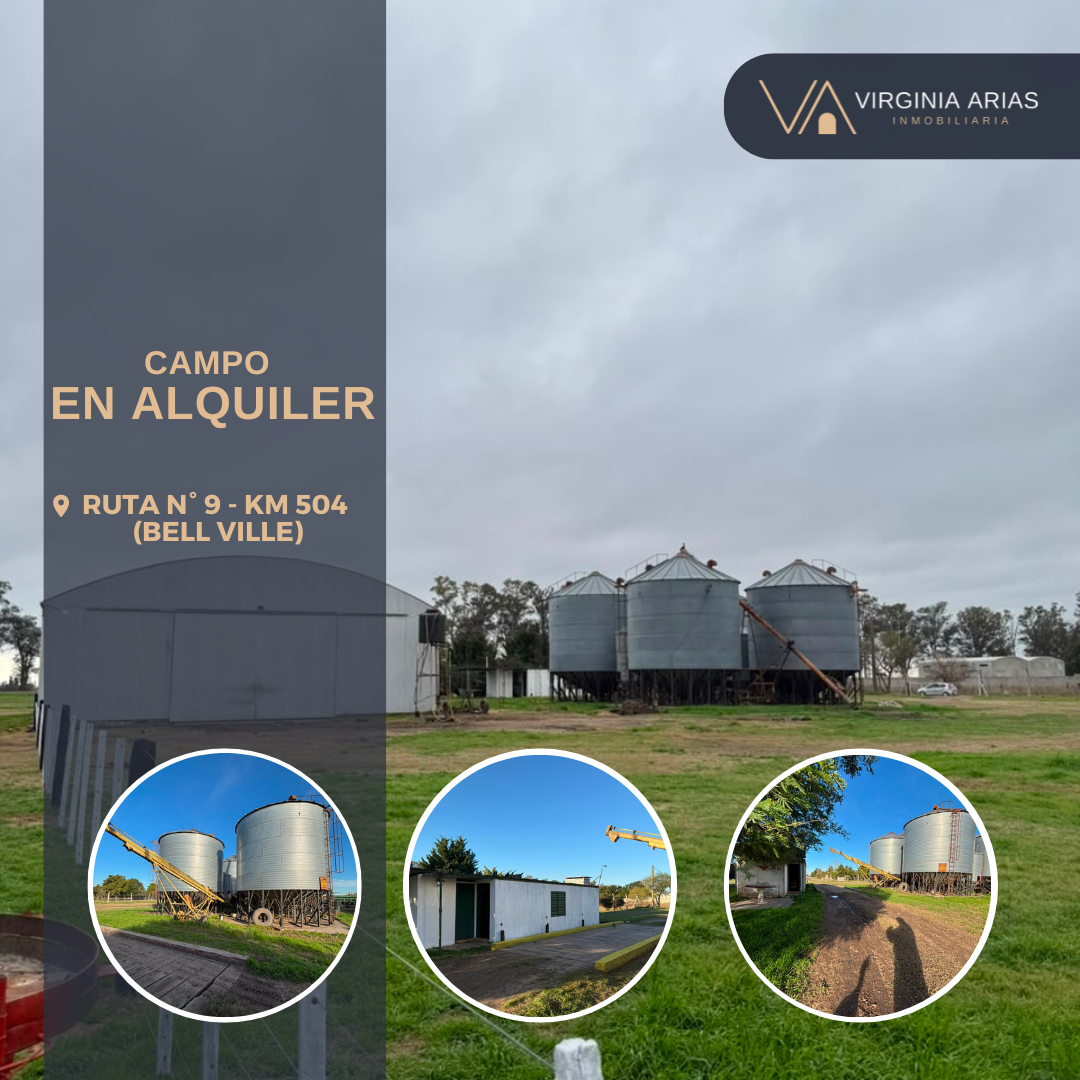 Se Alquila Hectárea &#8211; Ruta 9 KM 504